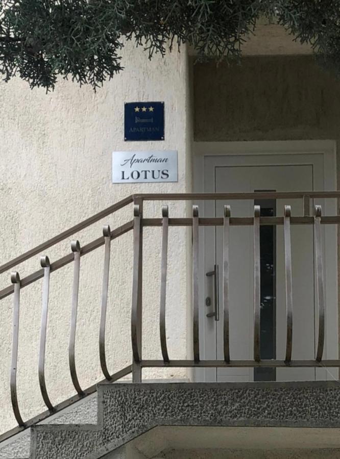 Apartment Lotus In Skrljevo *